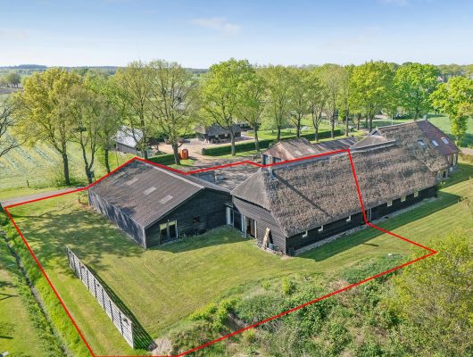 Hoofdfoto van Ruinen Bos 32