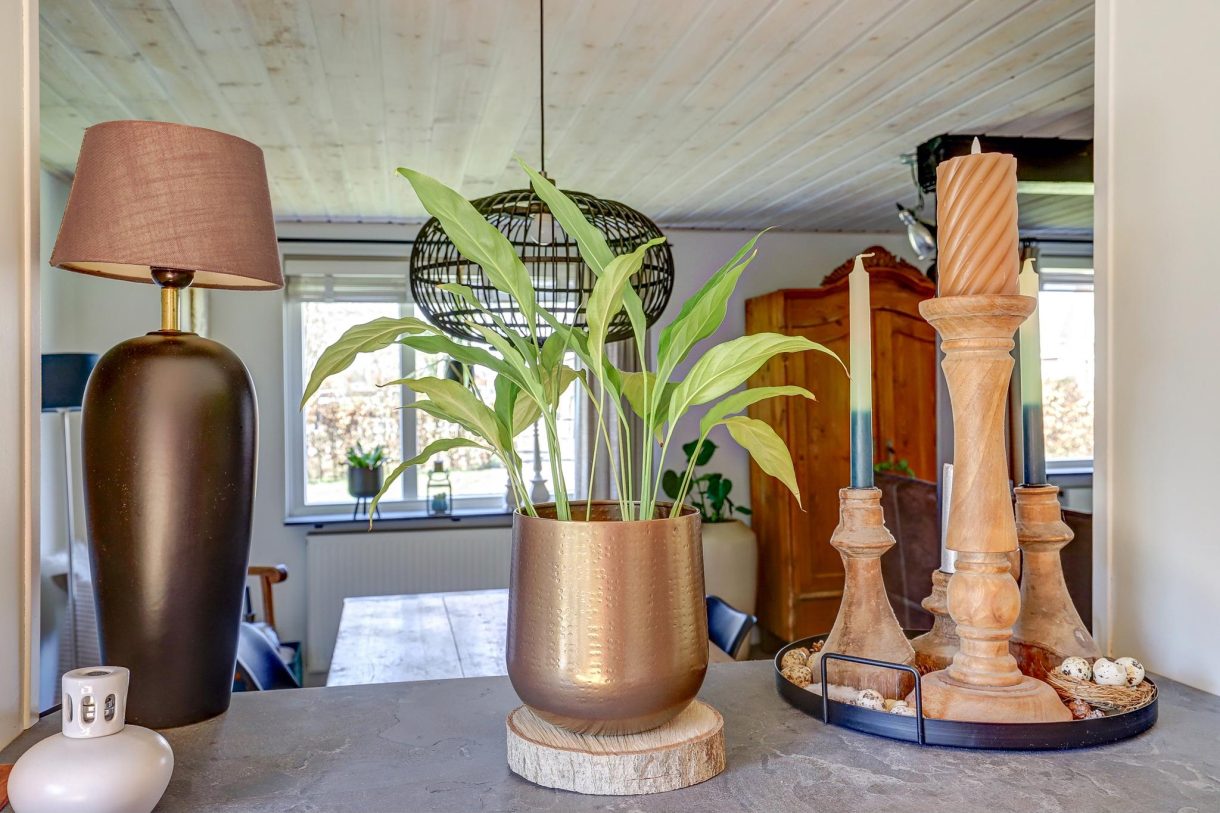 Te koop: Foto Woonhuis aan de Waspikse weg 10 in 's Gravenmoer