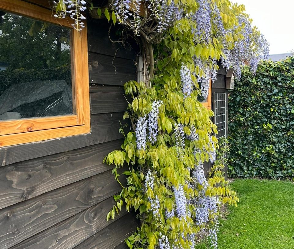 Te koop: Foto Woonhuis aan de De Groendijck 19 in Driebruggen