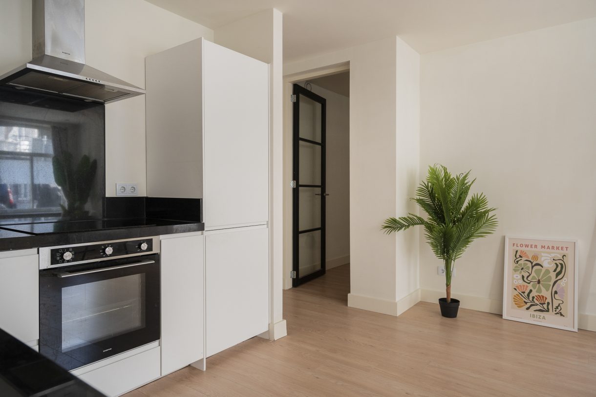 Te koop: Foto Appartement aan de Hugo de Grootstraat 17B in 's-Gravenhage