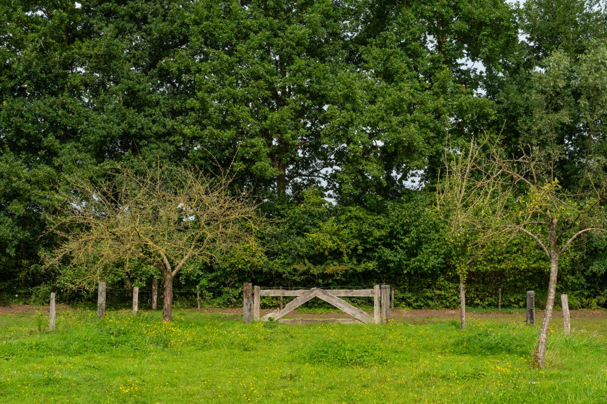 Te koop: Foto Woonhuis aan de Halseweg 21 in Doetinchem