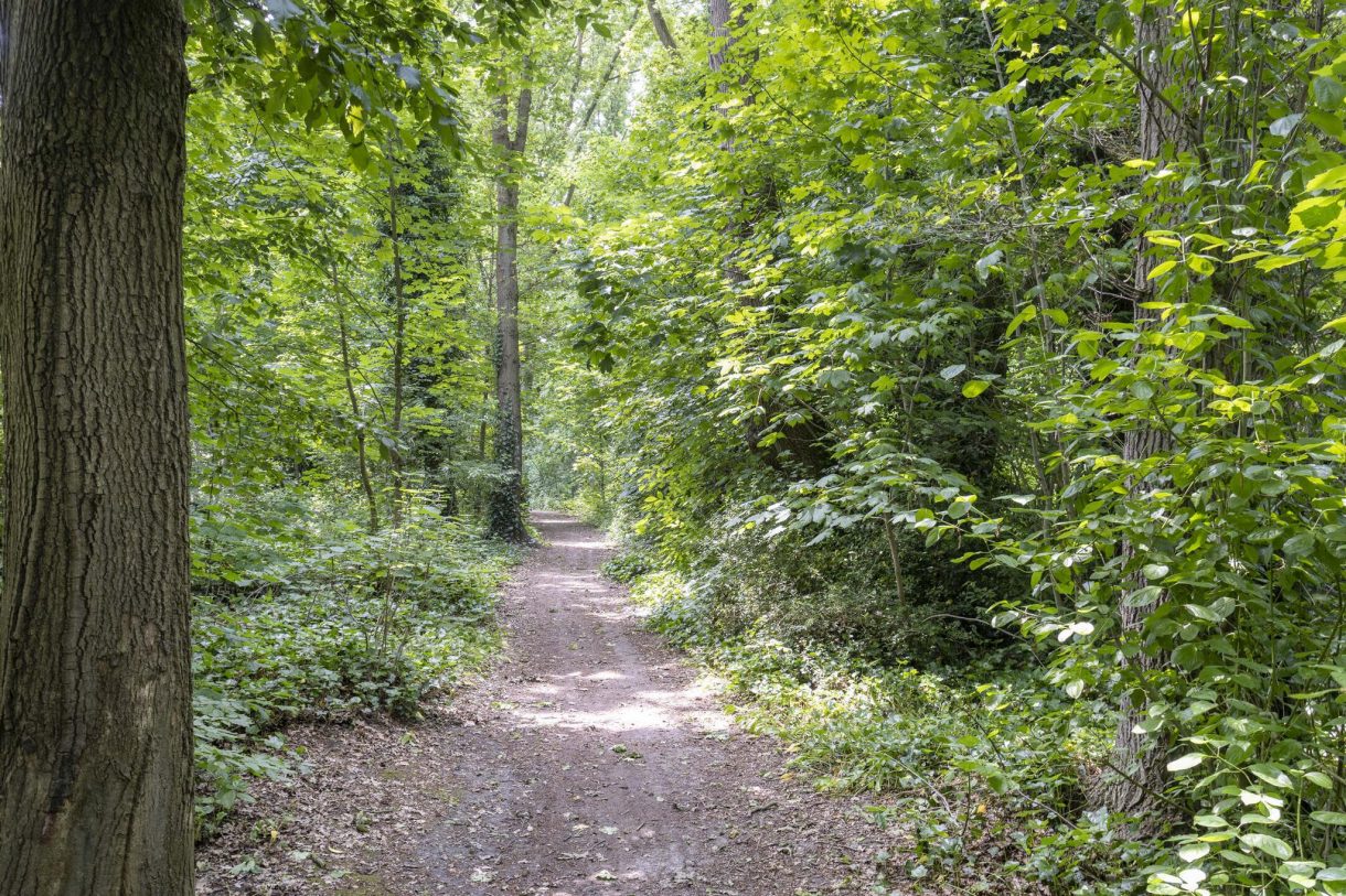 Te koop: Foto Appartement aan de St Plechelmuspad 3 in Eindhoven