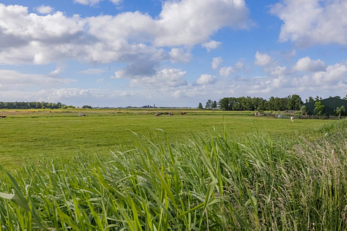 Te koop: Foto Woonhuis aan de Nassaulaan 12 in Kaag