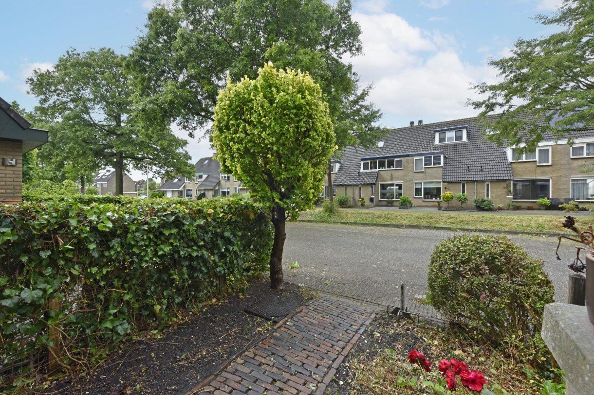 Te koop: Foto Woonhuis aan de Heemraadsingel 41 in Ter Aar