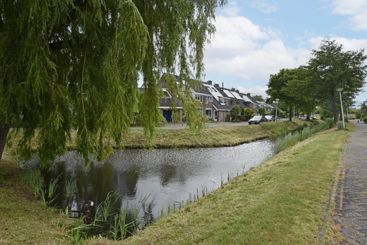 Te koop: Foto Woonhuis aan de Heemraadsingel 41 in Ter Aar