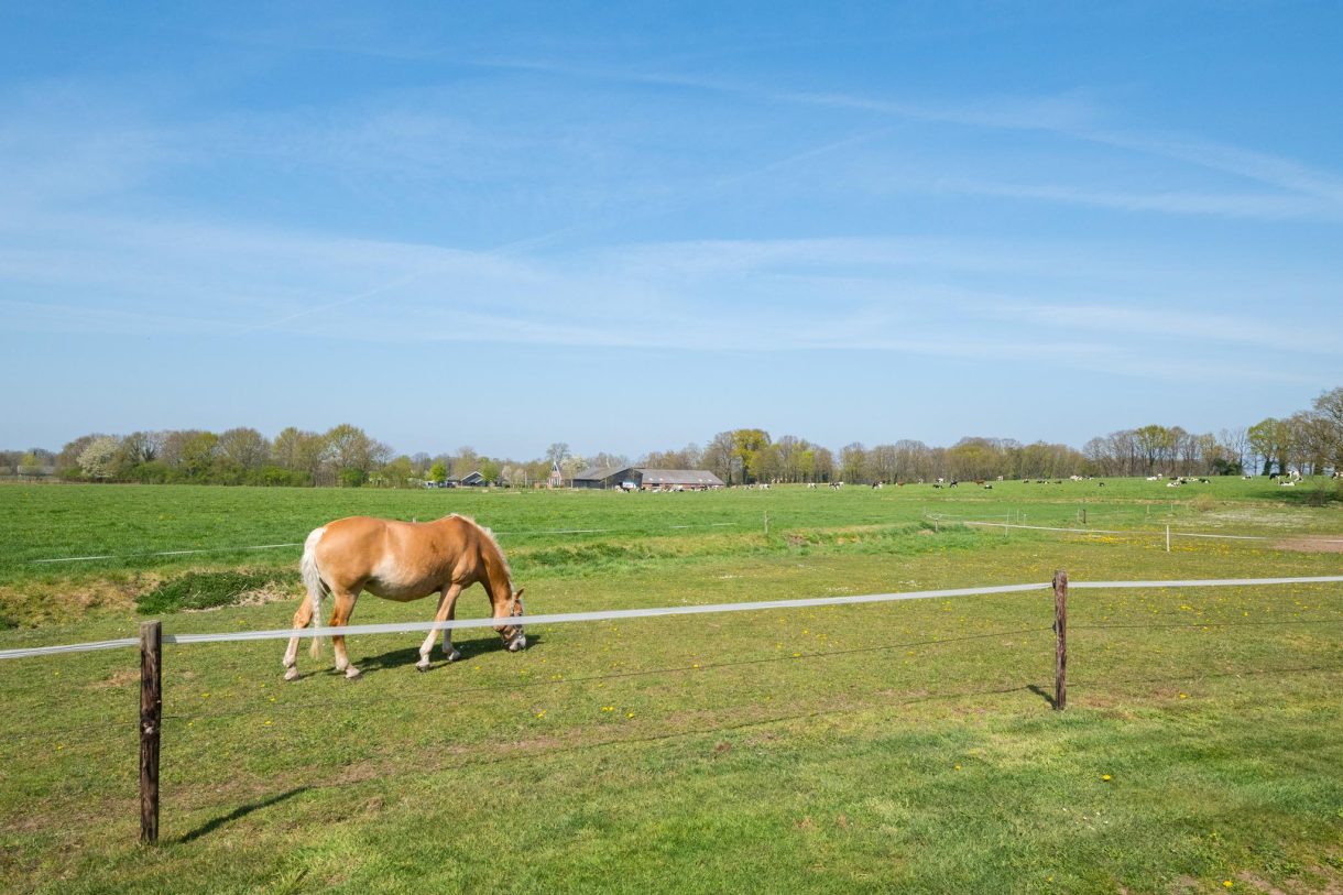 Te koop: Foto Woonhuis aan de Markerinkdijk 42 in Aalten