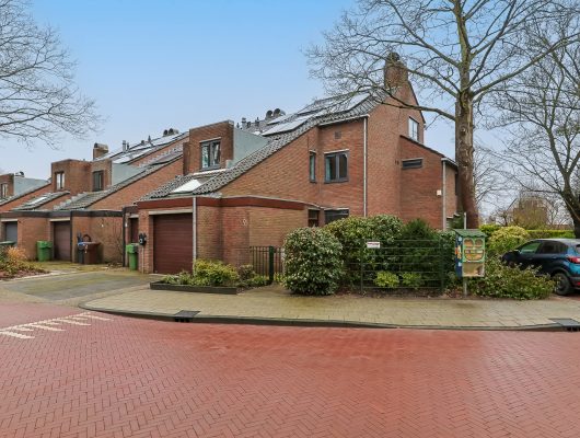 Hoofdfoto van Leiden Domela Nieuwenhuislaan 9