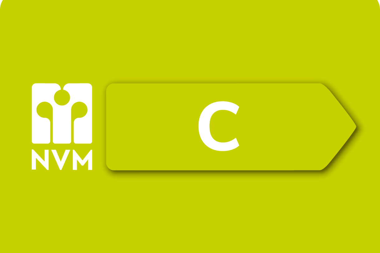 Te koop: Foto Woonhuis aan de Boeierstraat 14 in Rijsenhout