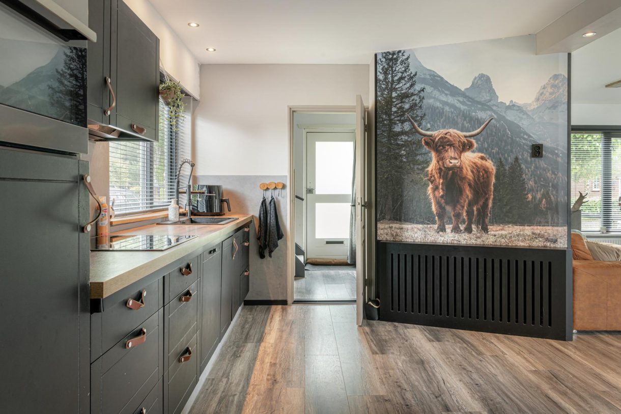 Te koop: Foto Woonhuis aan de Buorren 69 in Rottevalle