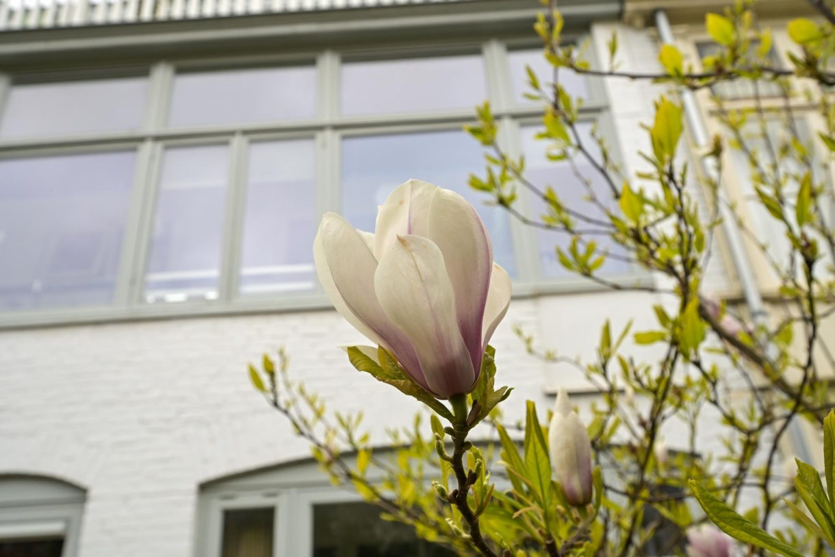 Te koop: Foto Woonhuis aan de Van Merlenstraat 89 in 's-Gravenhage