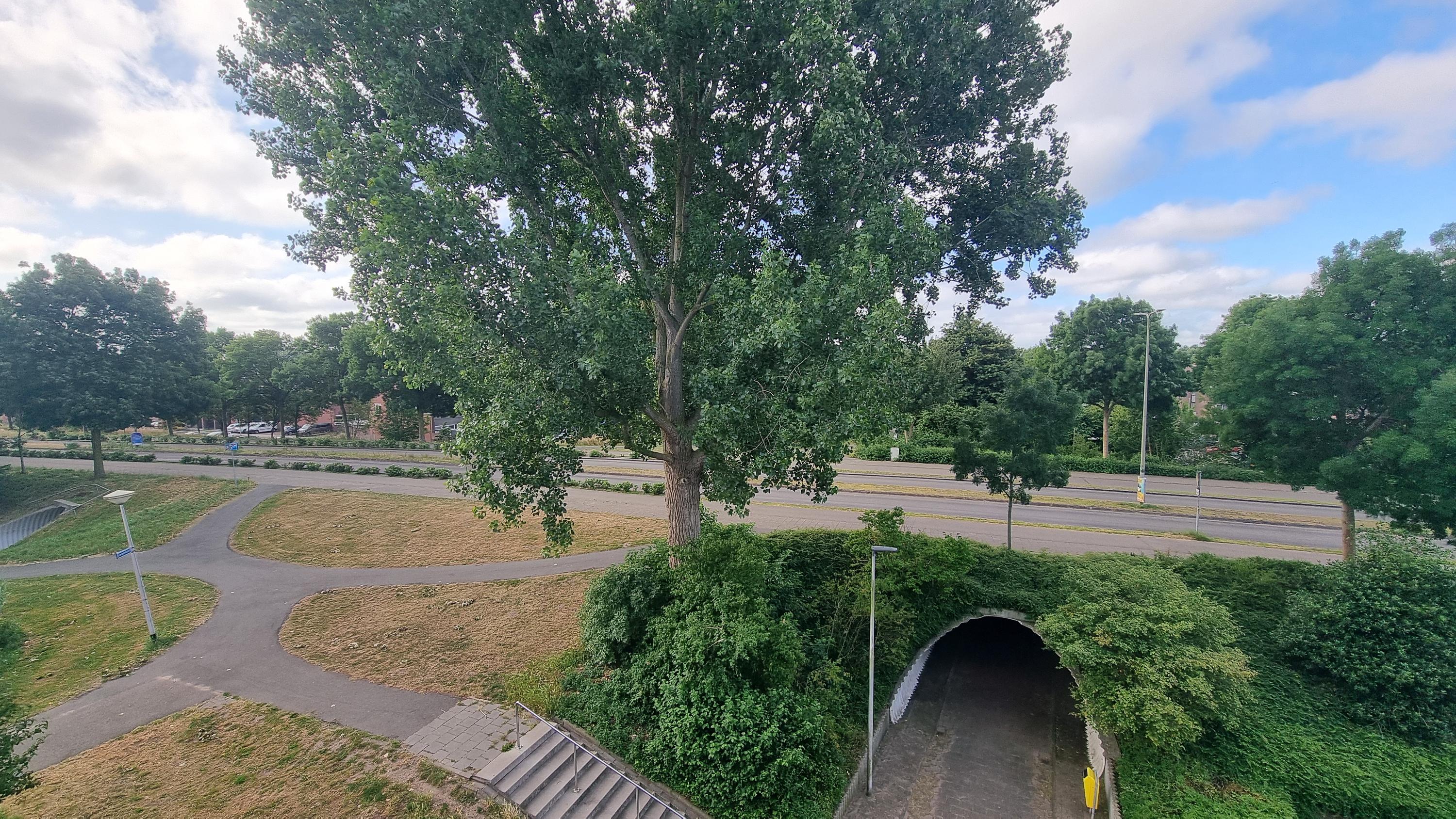 koop  Alphen aan den Rijn  Eikenhorst 419 – Foto 3