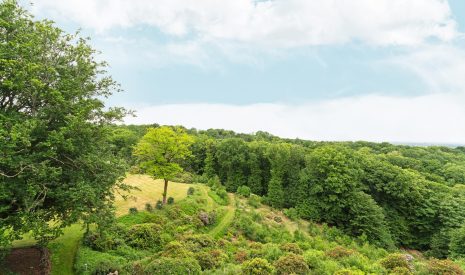Te koop: Foto Appartement aan de Oude Kleefsebaan 357 in Berg En Dal