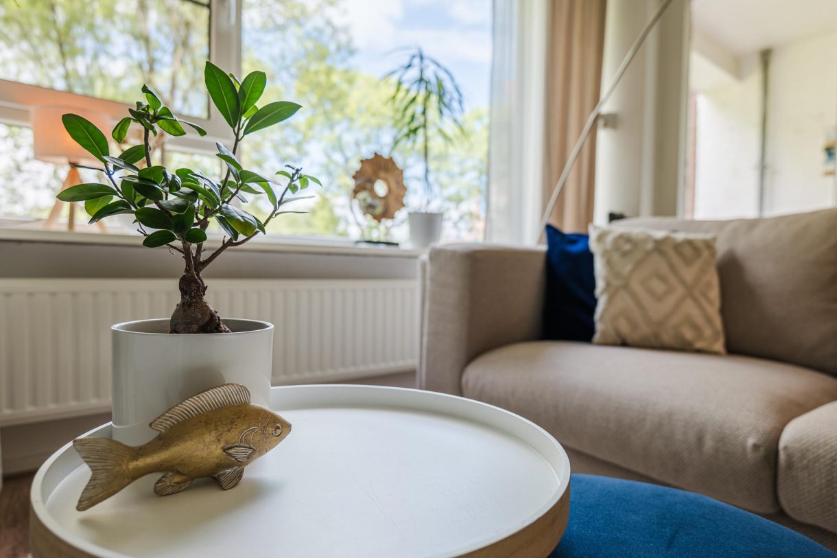 Te koop: Foto Appartement aan de Donderslaan 46 in Groningen