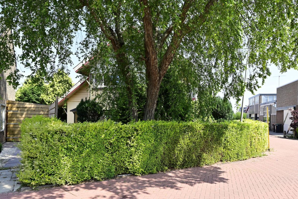 Te koop: Foto Woonhuis aan de van Wassenaerstraat 24 in Ter Aar