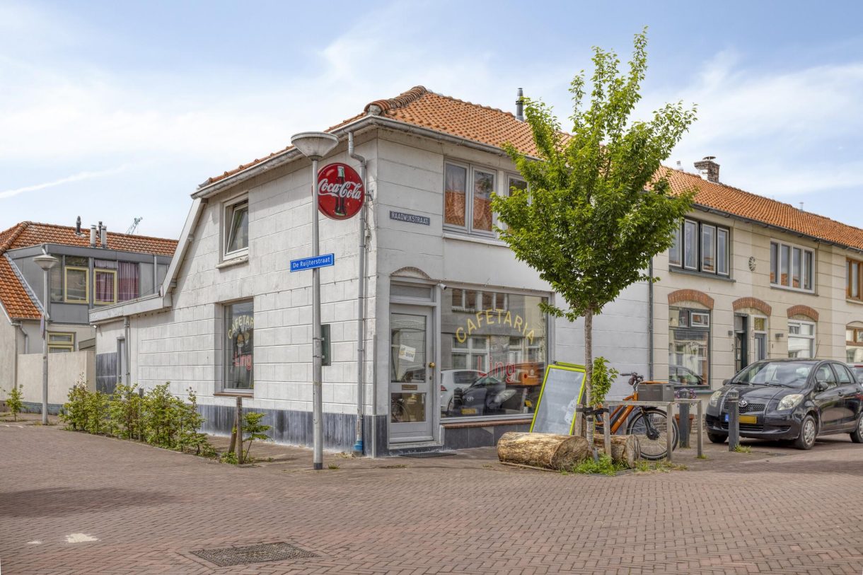 Te koop: Foto Woonhuis aan de Grijpensteinstraat 45 in Alphen aan den Rijn