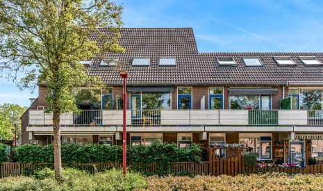 koop  Nieuwegein  Goudfazant 34 – Hoofdfoto