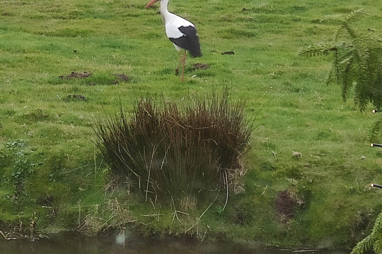 Te koop: Foto Woonhuis aan de Hoofdweg 122 in Zegveld