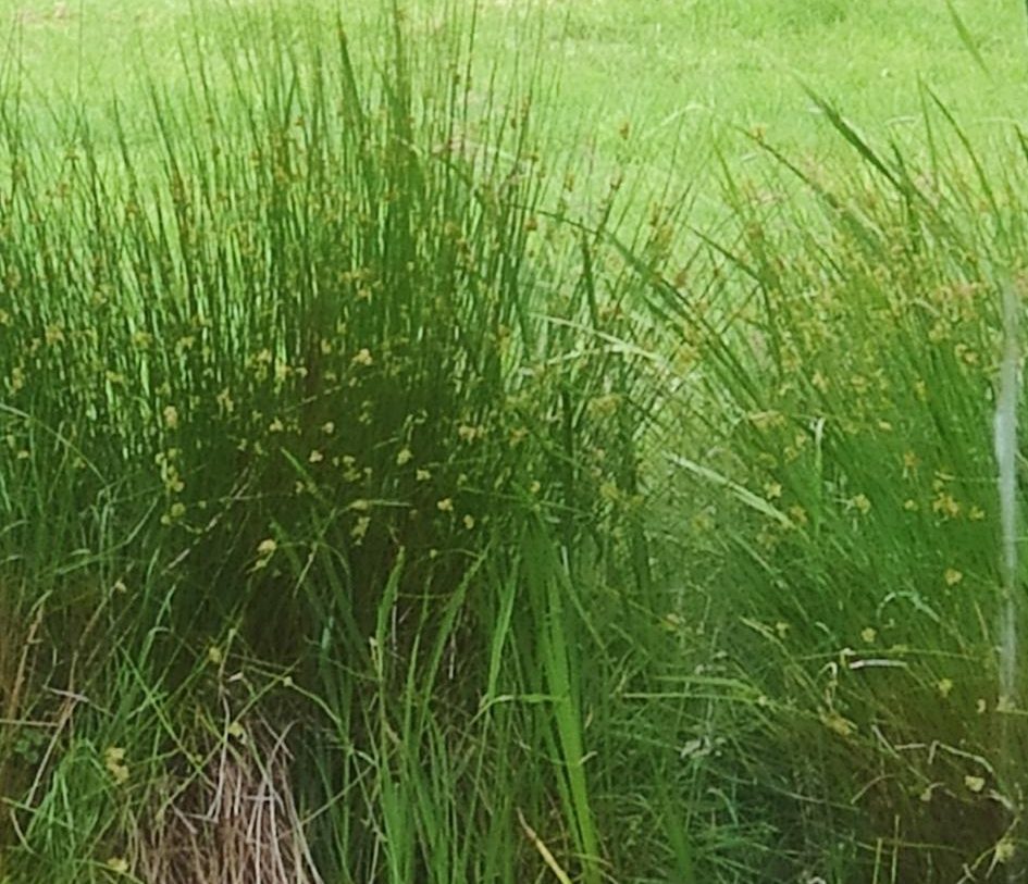 Te koop: Foto Woonhuis aan de Hoofdweg 122 in Zegveld