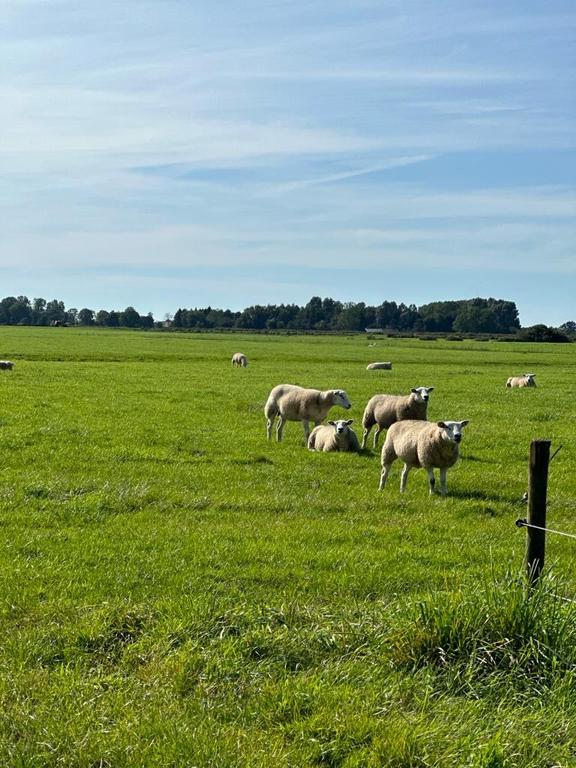 Te koop: Foto Bouwgrond aan de Mensumaweg ong in Tolbert