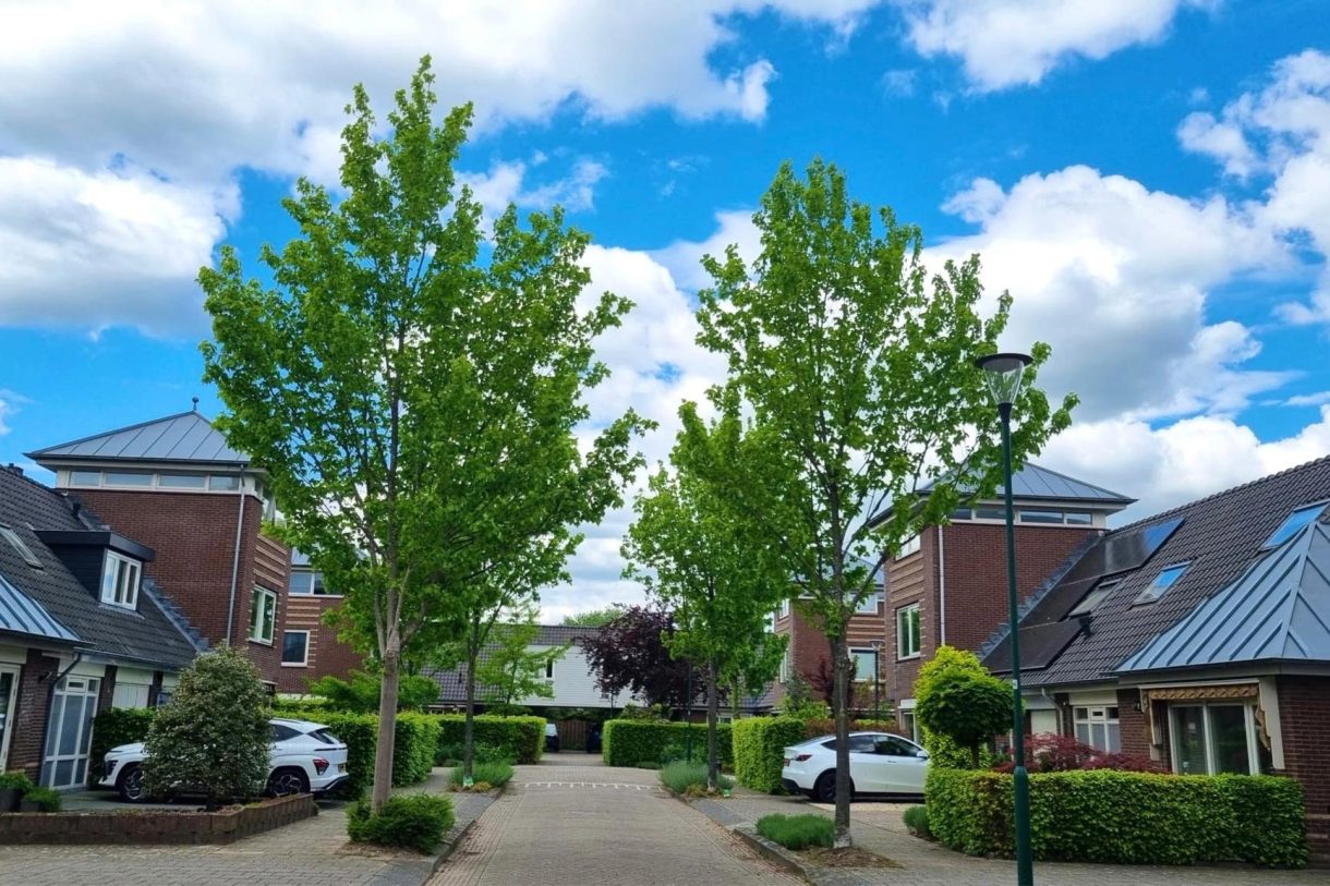 Te koop: Foto Woonhuis aan de De Clercqstraat 15 in Veenendaal