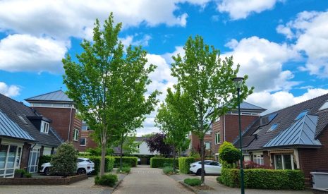 Te koop: Foto Woonhuis aan de De Clercqstraat 15 in Veenendaal