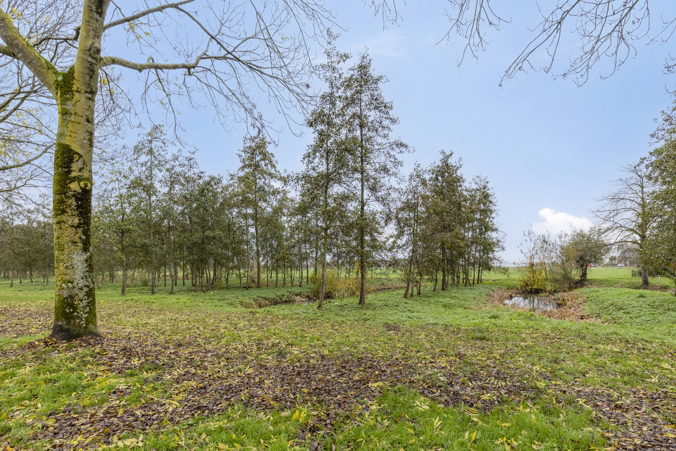 Te koop: Foto Woonhuis aan de Kerkstraat 17a in Appeltern