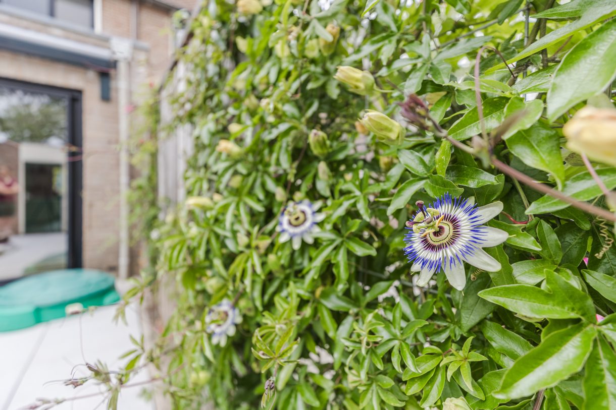 Te koop: Foto Woonhuis aan de Boendermakerstraat 3 in Breukelen