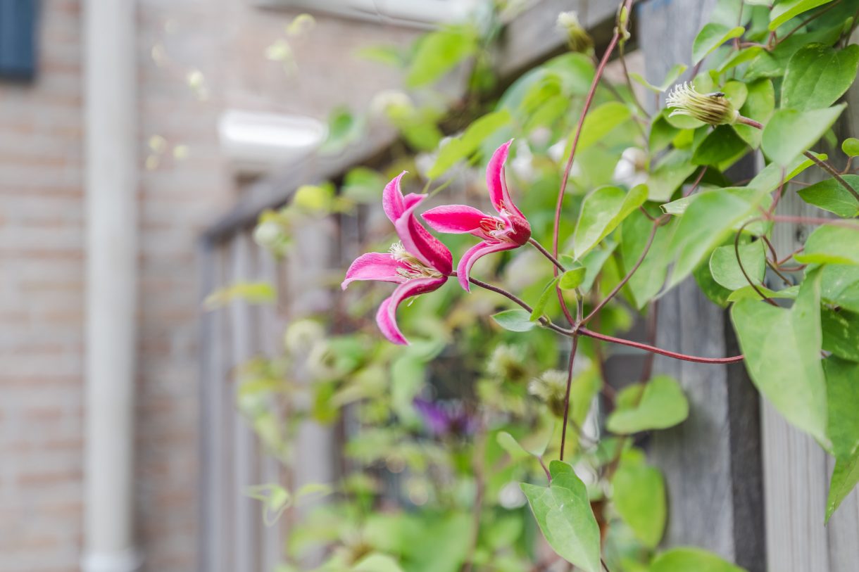 Te koop: Foto Woonhuis aan de Boendermakerstraat 3 in Breukelen