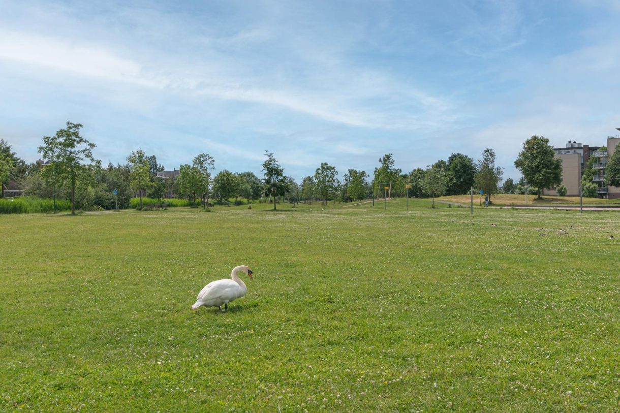 Te koop: Foto Woonhuis aan de Draagmuur 86 in Houten
