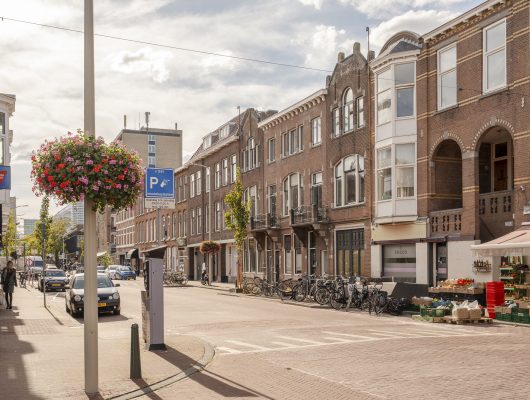 Hoofdfoto van 's-Gravenhage Theresiastraat 222