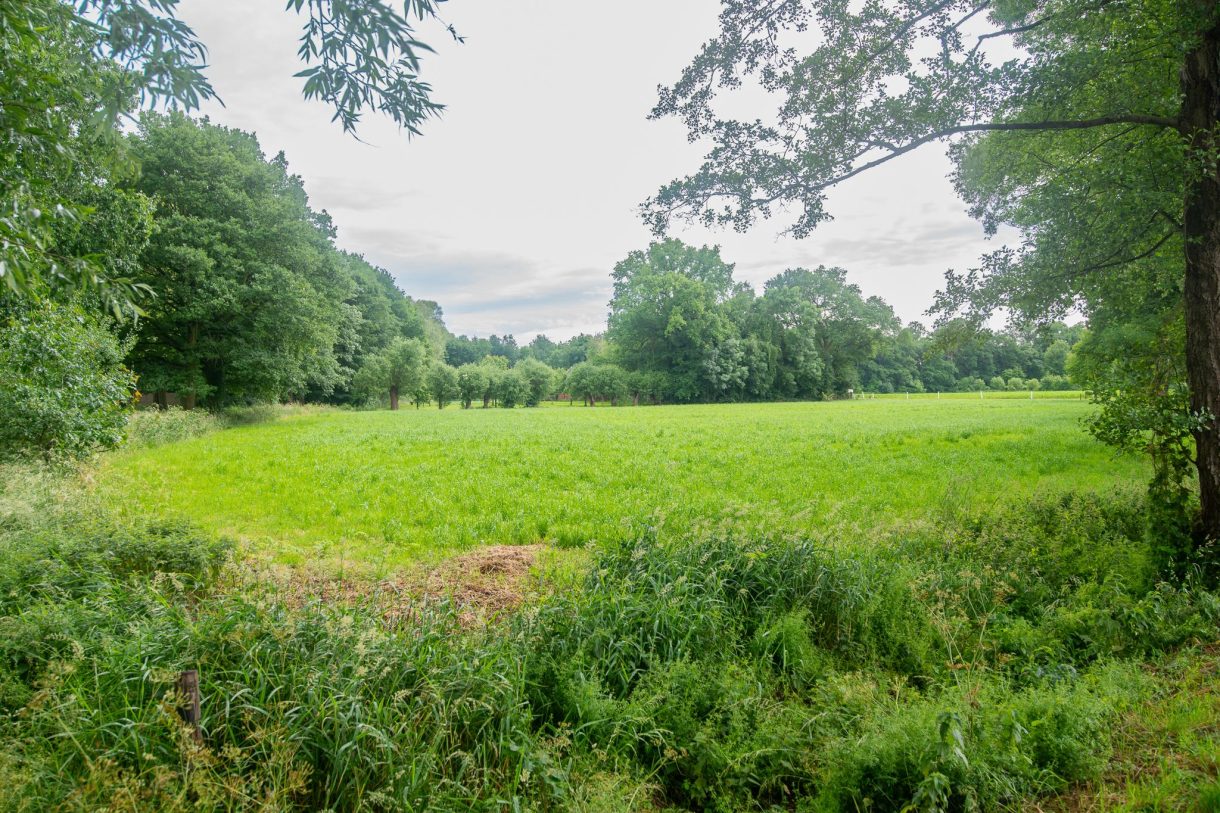 Te koop: Foto Woonhuis aan de Palfijnstraat 26 in Hengelo