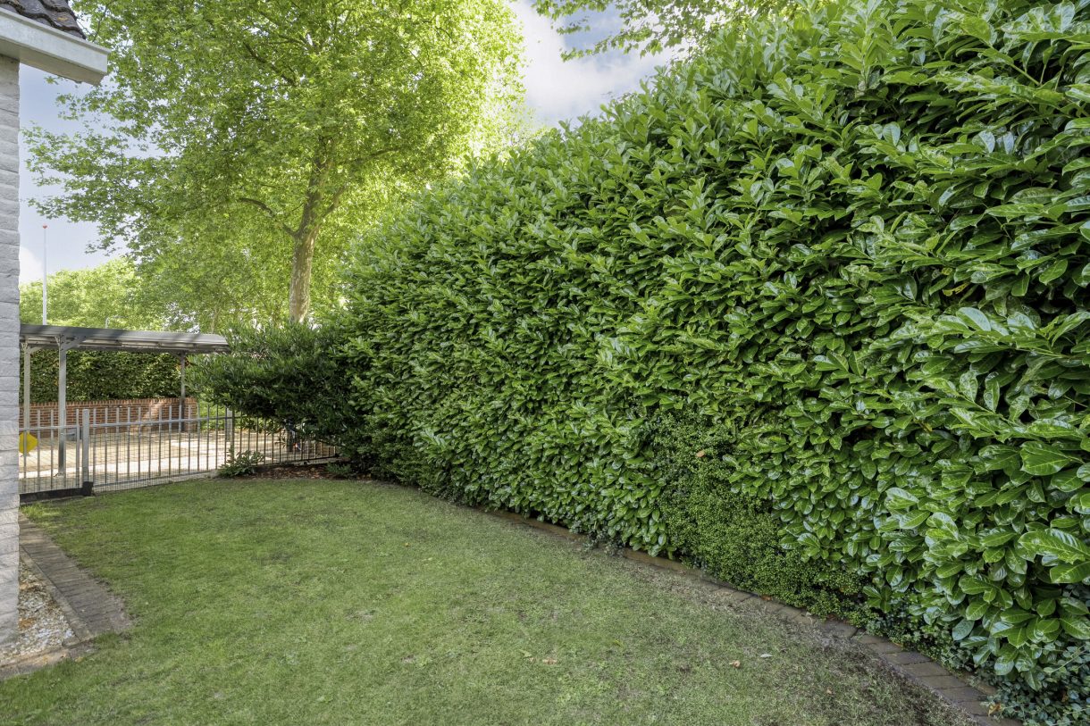 Te koop: Foto Woonhuis aan de Citroenvlinder 3 in Meppel