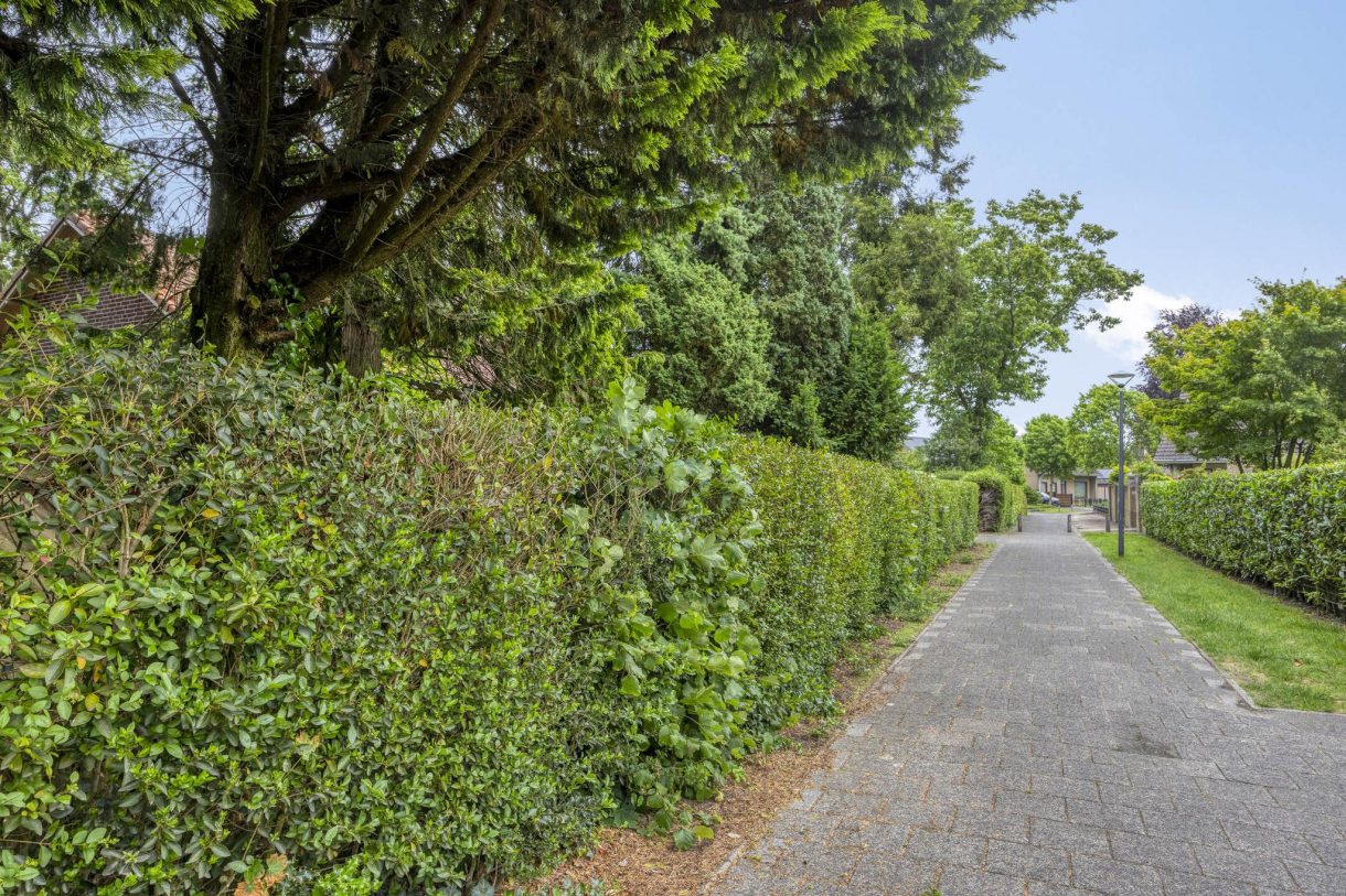 Te koop: Foto Woonhuis aan de Pastoor van Houtstraat 6 in Odiliapeel