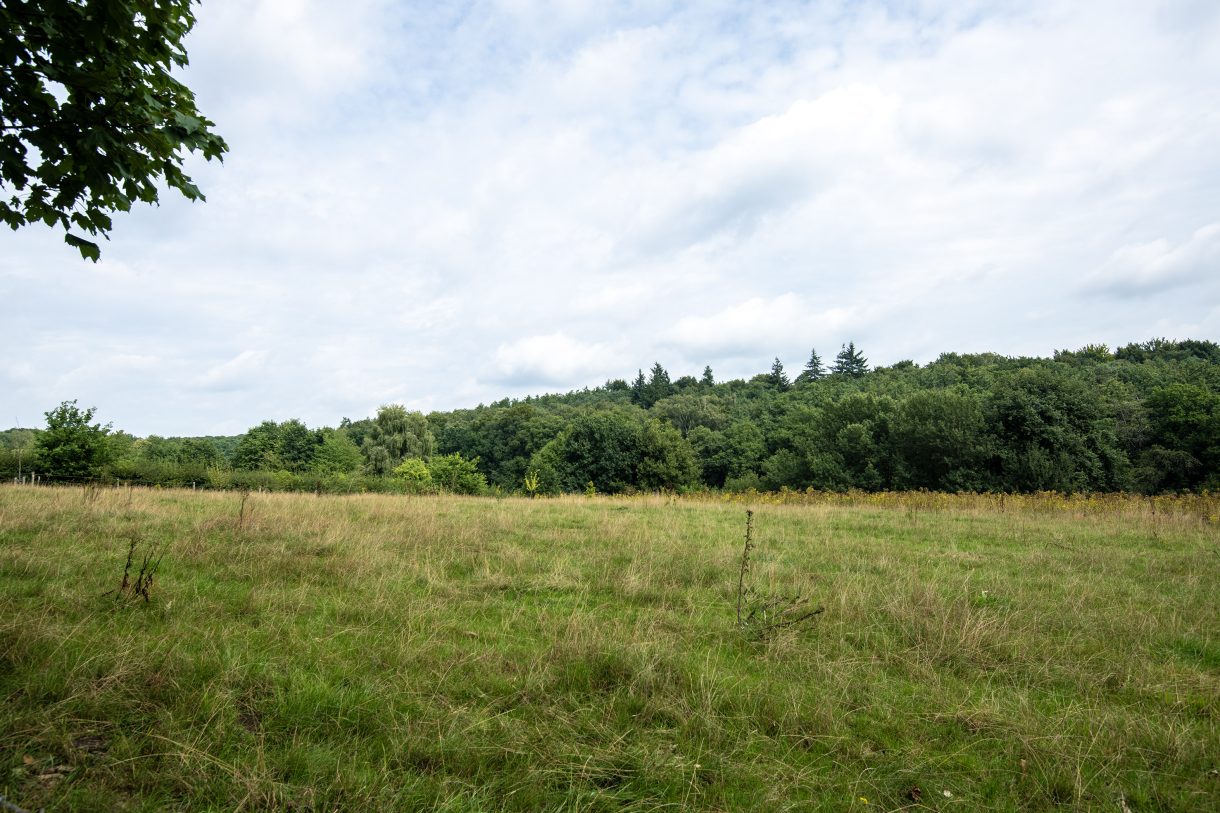 Te koop: Foto Woonhuis aan de Rijksweg 193 in Plasmolen
