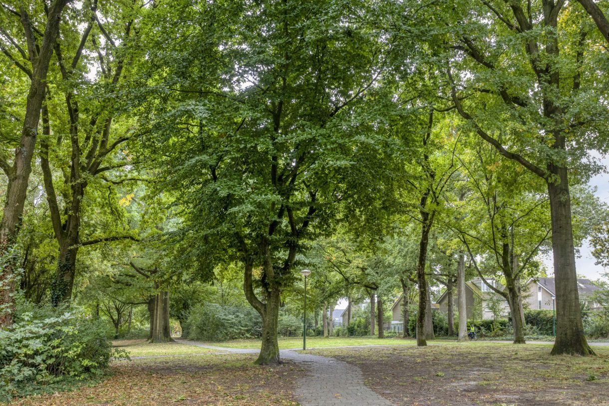 Te koop: Foto Woonhuis aan de Geelgorshof 7 in Nuenen