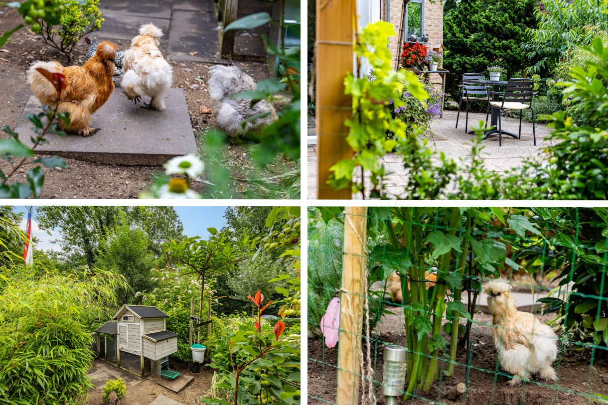 Te koop: Foto Woonhuis aan de Tullekenweg 16 in Eerbeek