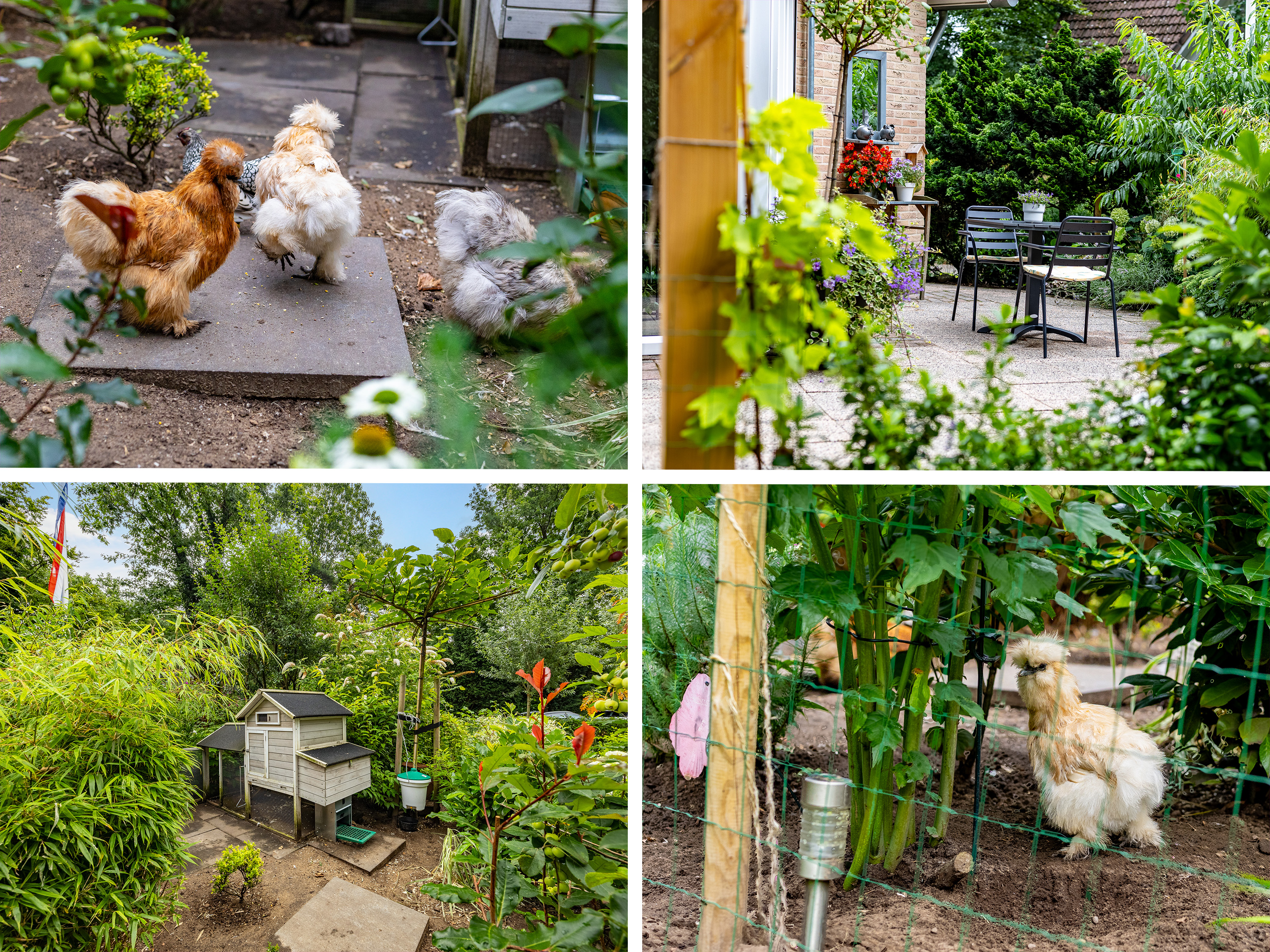 Te koop: Foto Woonhuis aan de Tullekenweg 16 in Eerbeek