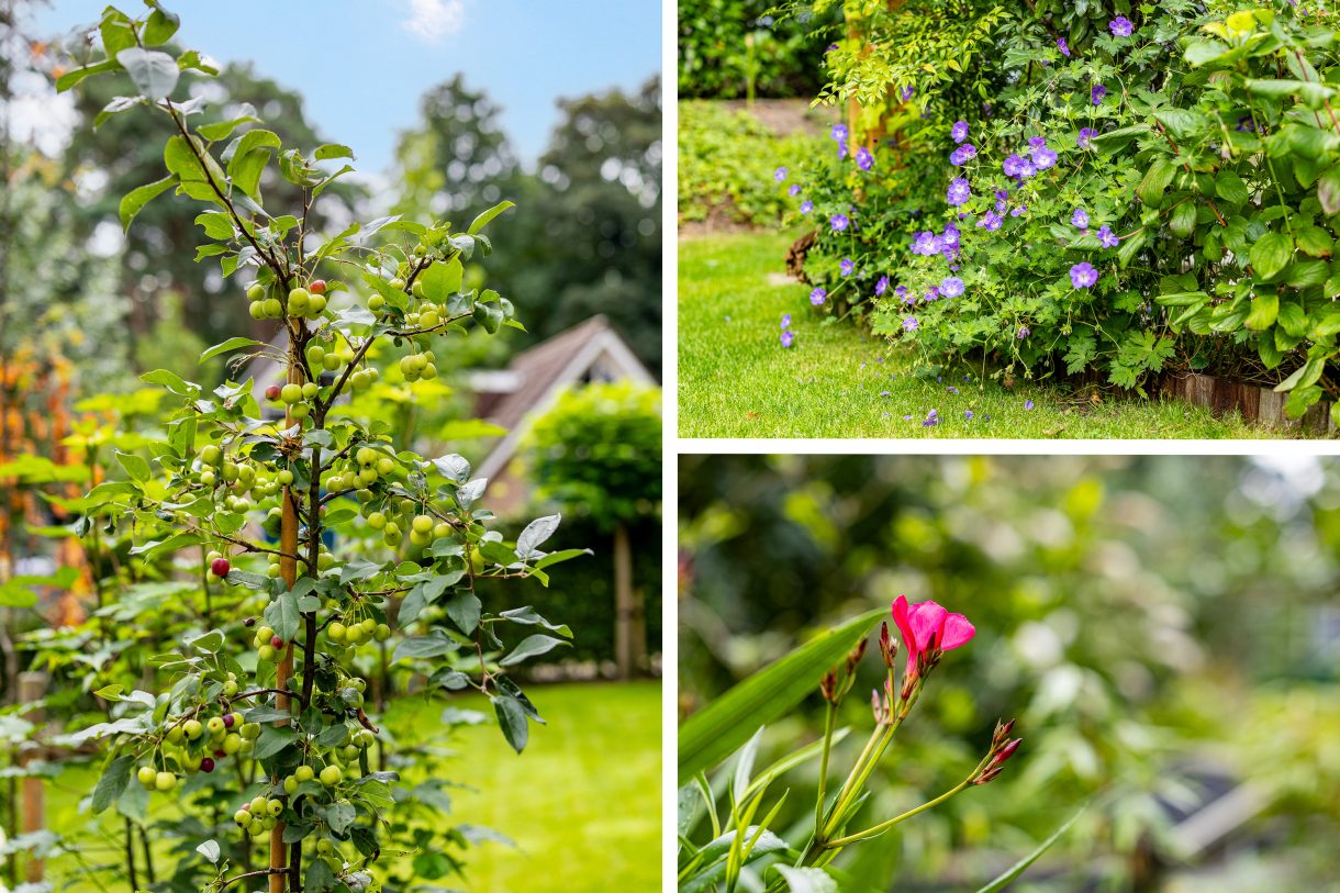 Te koop: Foto Woonhuis aan de Tullekenweg 16 in Eerbeek