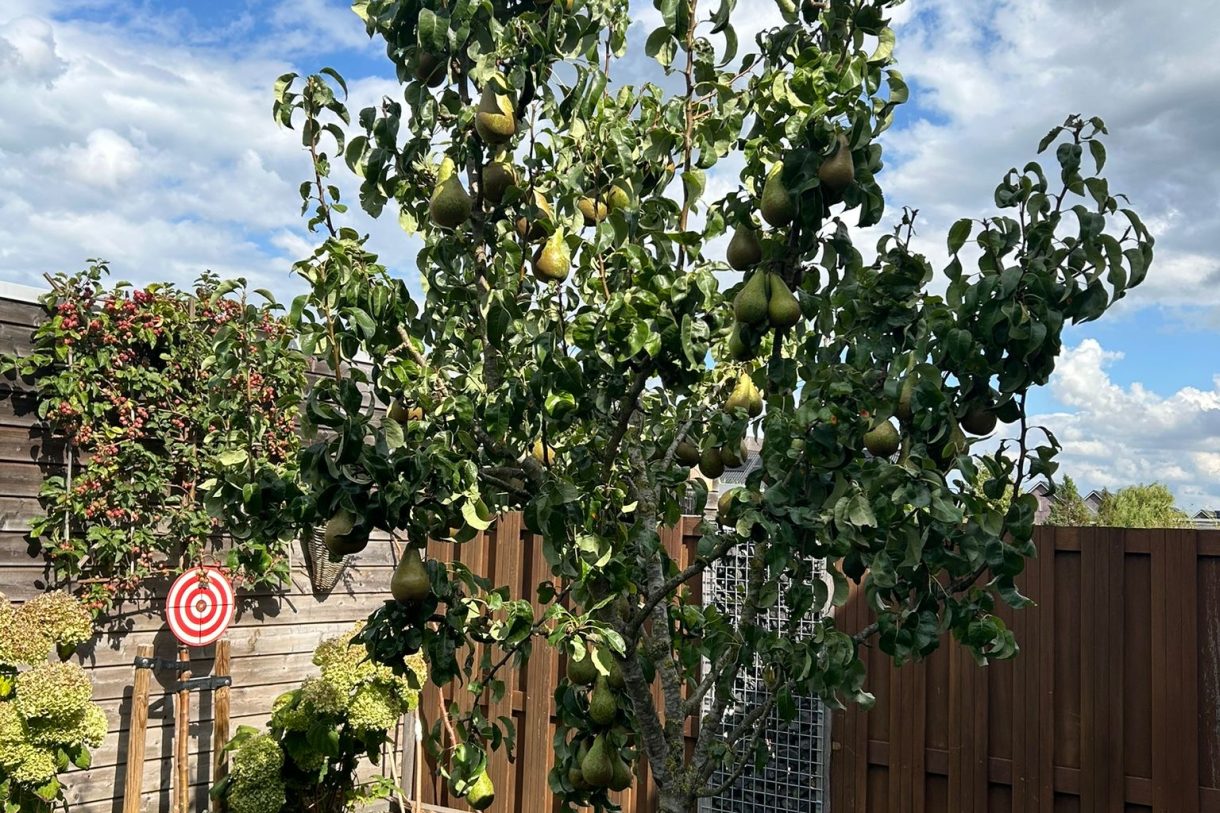 Te koop: Foto Woonhuis aan de Penningkruid 27 in Bodegraven