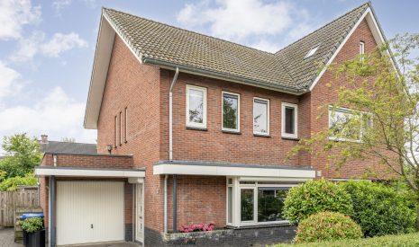 koop  Meppel  Leeuwentand 13 – Hoofdfoto