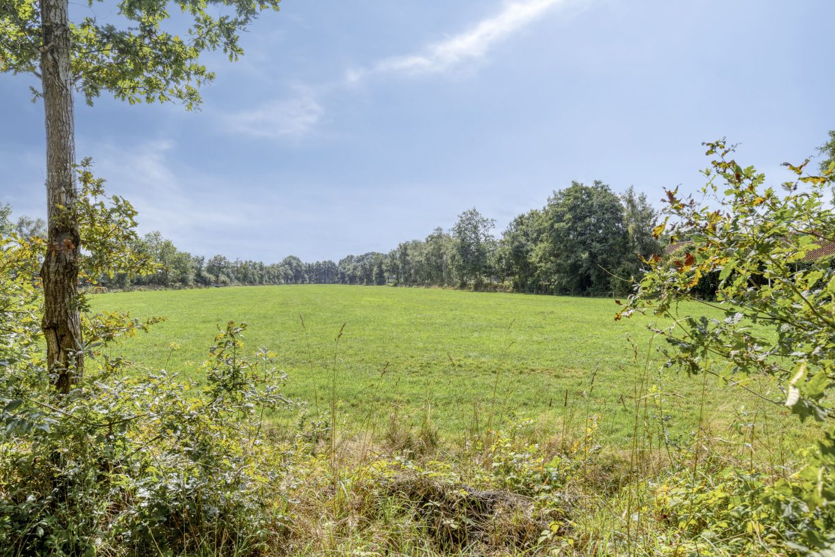 Te koop: Foto Woonhuis aan de de Ring 31 in Leutingewolde