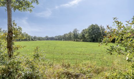 Te koop: Foto Woonhuis aan de de Ring 31 in Leutingewolde