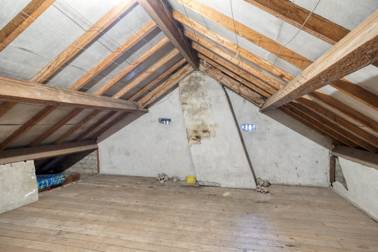 Te koop: Foto Woonhuis aan de Oudedijk 77 in Odiliapeel