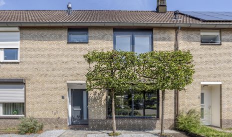 koop  Best  Haagbeuk 8 – Hoofdfoto