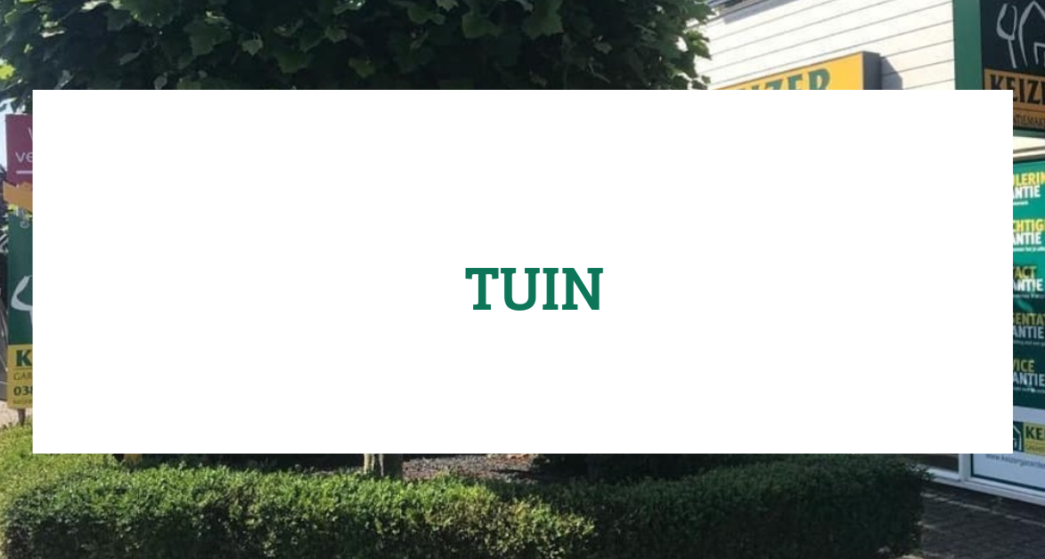 Te koop: Foto Woonhuis aan de Ruitersveldweg 9 in Wezep