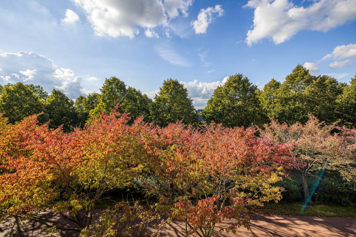 Te koop: Foto Appartement aan de Zonnehout 17 in Houten