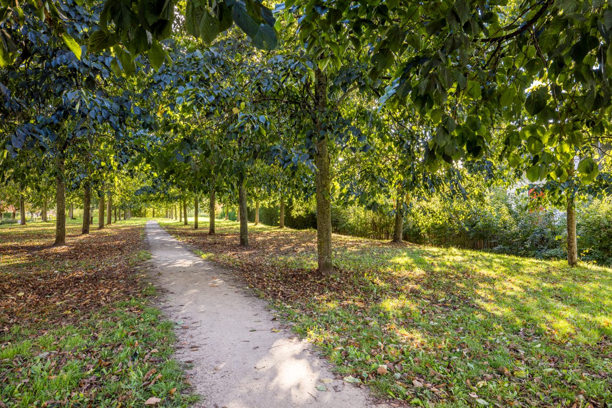 Te koop: Foto Appartement aan de Zonnehout 17 in Houten