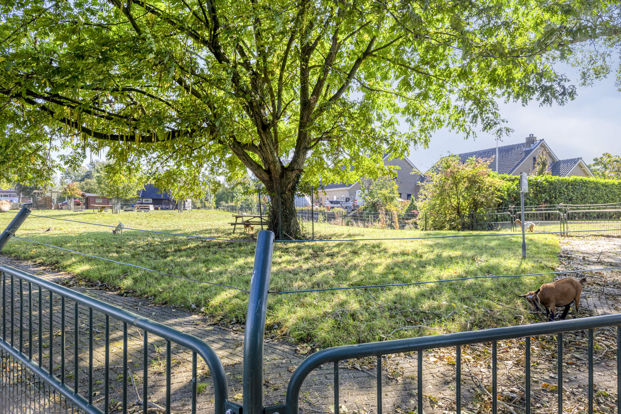Te koop: Foto Woonhuis aan de Den Tollstraat 38 in Koudekerk aan den Rijn