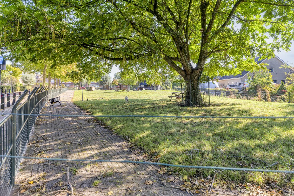 Te koop: Foto Woonhuis aan de Den Tollstraat 38 in Koudekerk aan den Rijn