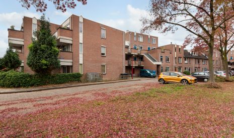 Hoofdfoto van Nieuwegein Condor 58